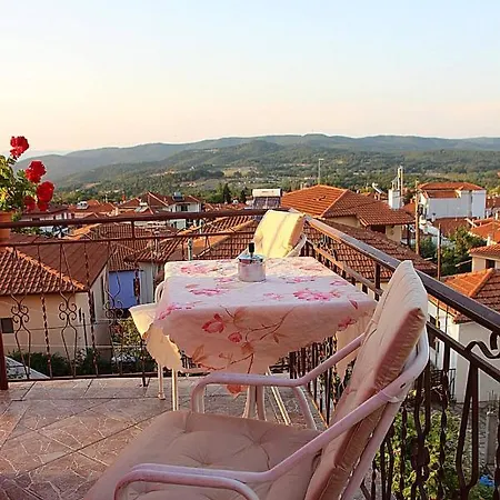 Apartament Traditional House 